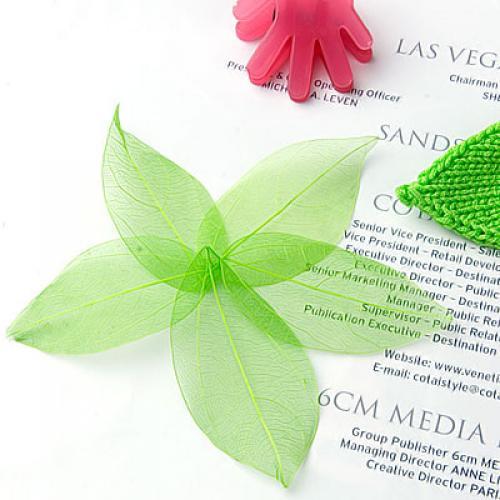 Art Craft Leaves - Natural Catbrier Skeleton Leaves Multi Purpose