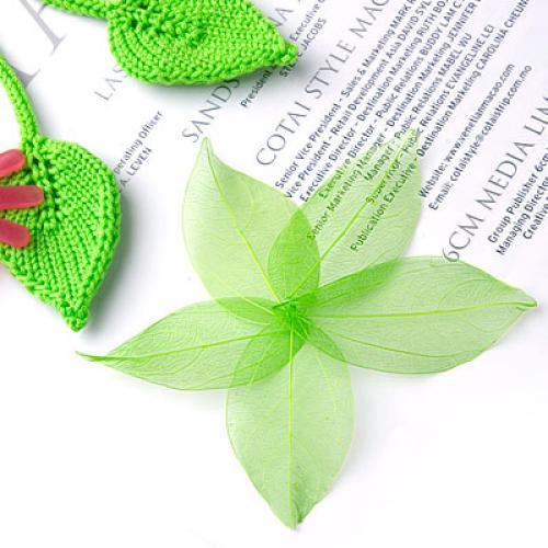 Natural Catbrier Skeleton Leav - Art Craft Leaves review and price