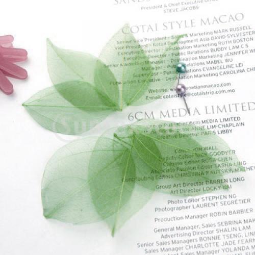 Natural Catbrier Skeleton Leav - Art Craft Leaves review and price