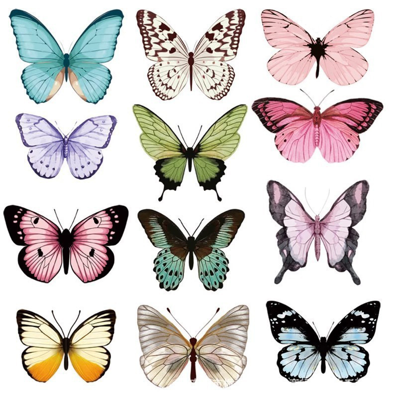 12pcs 3D Butterfly Wall Sticke - Art Craft Event review and price
